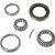 DUTTON-LAINSON 21821 6507 BEARING SET