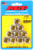 ARP 1/2-13 SS 12pt Nut Kit (Pack of 10)