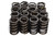 1.265 Valve Springs w/ Damper
