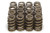 1.250 Valve Springs - Ovate Beehive (16)