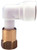 ATTWOOD MARINE698-WX1532B ADAPTOR - FEMALE 1/2  BSP TO