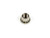 ARP 1/4-28 SS 12pt Nut Kit