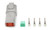 Plug Deutsch 4 Pin Receptacle