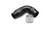 Vibrant Aluminum 90 Deg One Piece Hose End Fitting for PTFE Lined Hose -8AN Size