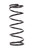 Conv Rear Spring 5in x 13in x 275