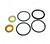 ICON 2.5 Piggyback/Remote Resi/Bypass Rebuild Kit