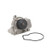 DAYCO DP019 WATER PUMP KIT