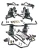 Ridetech RID11060297 5964 IMPALA HQ AIR SUSPENSION SYSTEM W/ COOLRIDE HQ FRONT SHOCKWAVES