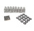 Beehive Valve Spring Kit .625