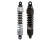PGR 444 Shocks