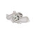 DAYCO DP517 WATER PUMP KIT