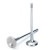 SPT Exhaust Valves