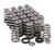 GSC Valve Spring Kits