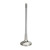 SPT Exhaust Valves