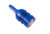 Diode Dynamics DDYDD0333S 194 HP5 LED BLUE SHORT (SINGLE)