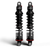 PGR 494 Shocks