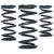 AST Linear Race Springs