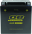 Quadboss QBS401386 QBX20CHFA AGM BATTERY QB