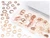 WILMAR WLMW5218 Performance Tool W5218 720 pc Washer Assortment