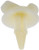 DORMAN 963040 PNL TRIM RTNR GM