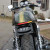 NEW Fender Eliminator