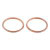 VEP Exhaust Gasket Kit