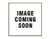 CLEVITE 77 224352002 PISTON