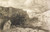 BOSCH 15645