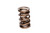 COMP Cams Valve Spring 1.575in Inter-Fit