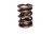 COMP Cams Valve Spring 1.550in 2 Spring