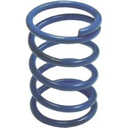 Drum Brake Hold Down Spring