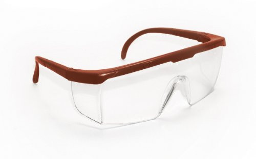 SAS Safety SAS5272 Hornets Eyewear with Polybag, Clear Lens/Red Frame