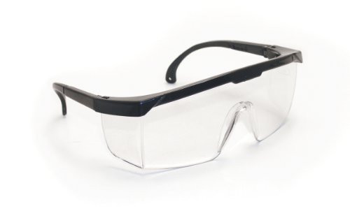 SAS Safety SAS5270 Hornets Eyewear with Polybag, Clear Lens/Black Frame