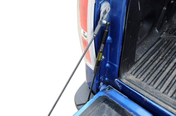 DEE ZEE DZ43206 TAILGATE ASSIST DEE ZEE DZ43206 TAILGATE ASSIST