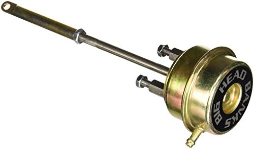 BANKS 24401 BIG HEAD ACTR STNGR/STOC