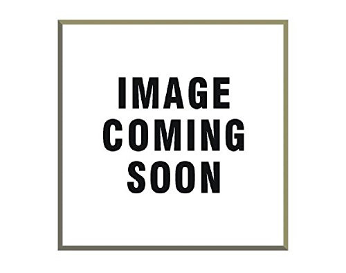 PIONEER FW163 Standard Flywheel