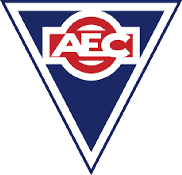 ASSOCIATED EQUIPMENT CORP AE1249 80Z JET CLEAN DETERGNT-GAS ENG 12PK ASSOCIATED EQUIPMENT CORP AE1249 80Z JET CLEAN DETERGNT-GAS ENG 12PK