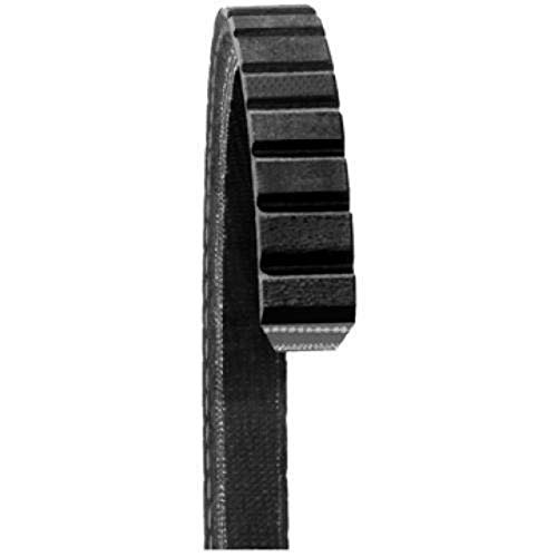 DAYCO 15545 FAN BELTS