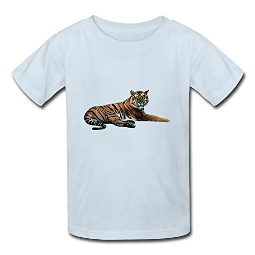 NITRO GEAR D44RS538NG DANA RING & PINION