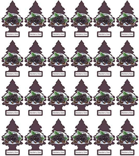 CAR FRESHNER U1P17343 BLACKBERRY CLOVE 1 APCK L CAR FRESHNER U1P17343 BLACKBERRY CLOVE 1 APCK L