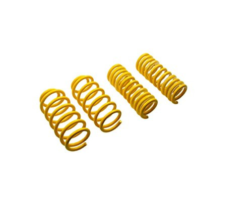 SUSPENS TECH 65838 LOWERING SPRINGS