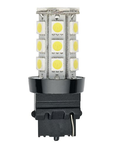AP PRODUCTS 0163156280 2PK LED REVOLUTION BULBS