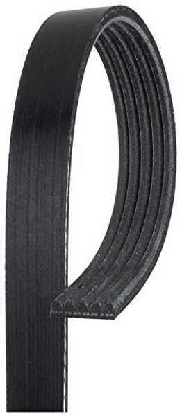 GATES CORP K050459 V-RIBBED BELT