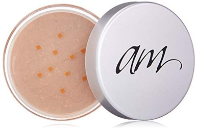 MOR/RYDE STP214120H GEN2 STEP ABOVE HANDRAIL