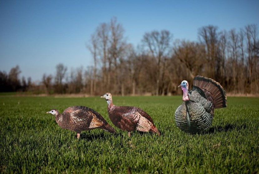 Turkey Silhouettes w/ 'H' Wires - Big Al's Decoys