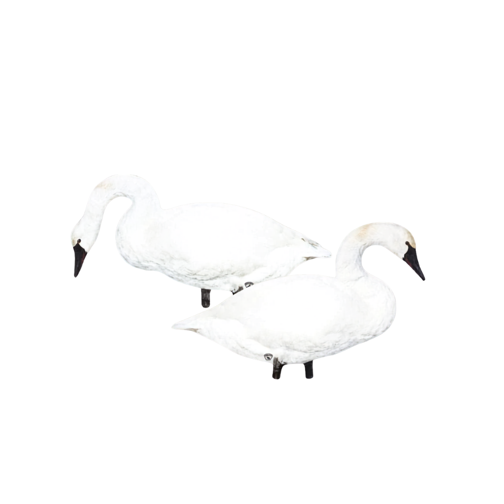 Swan- 4 Pack - Big Al's Decoys