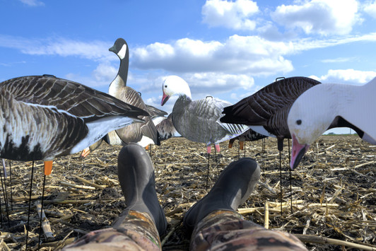 26" TALL Spring Steel Stakes 60 Pack