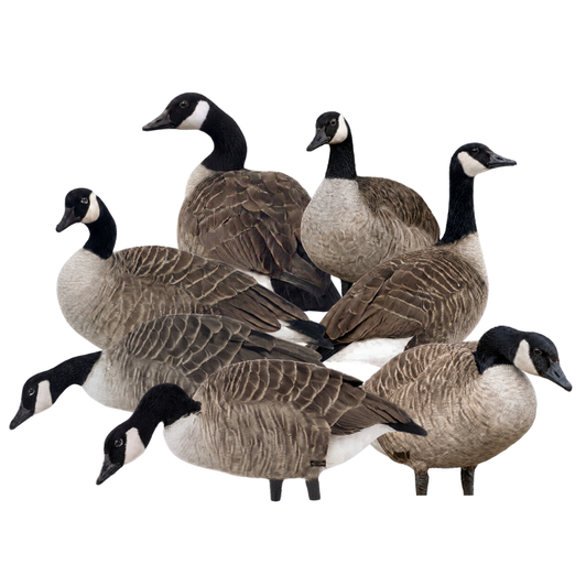 X14 Greater Canada Goose Silhouettes X14 Greater Canada Goose Silhouettes
