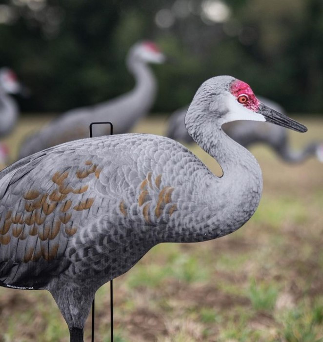 Sandhill Crane Pack Silhouettes Big Al's Decoys