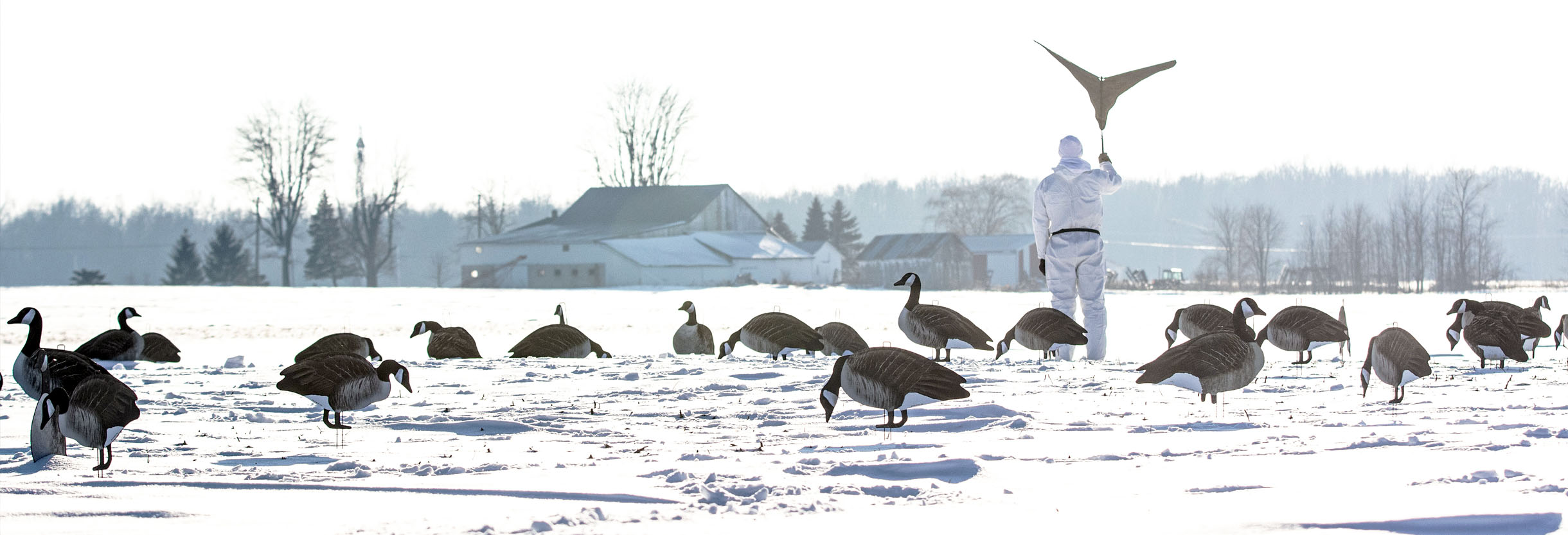 Big Al's Decoys Store